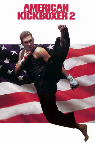 Póster de American Kickboxer 2