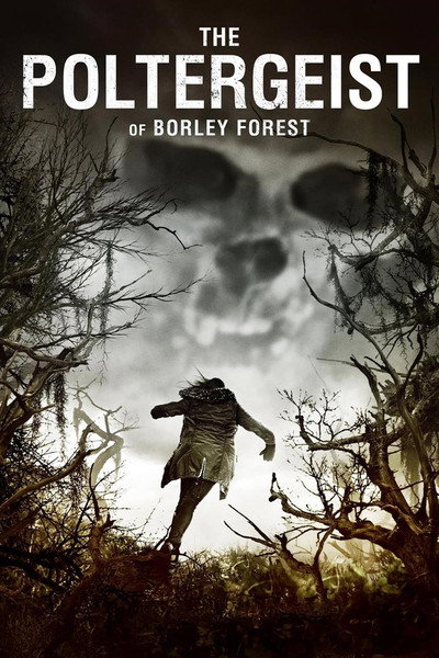Póster de American Poltergeist 2