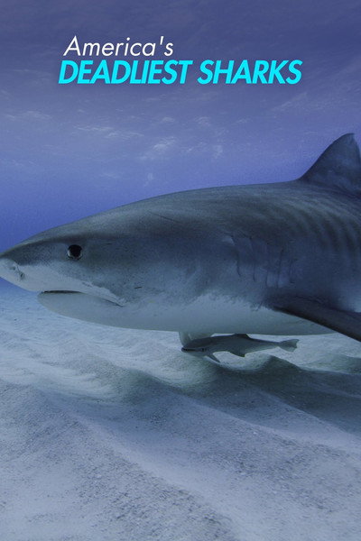 Póster de America's Deadliest Sharks