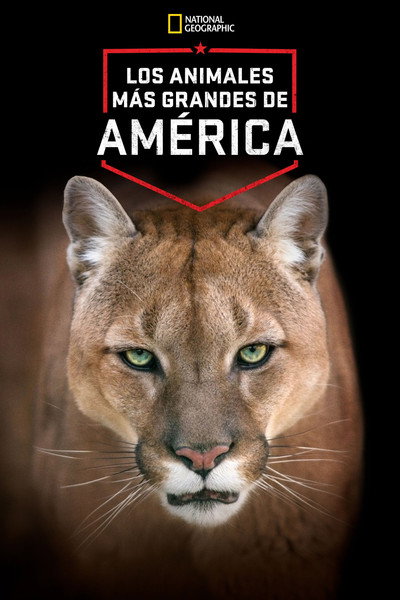 Póster de America's Greatest Animals