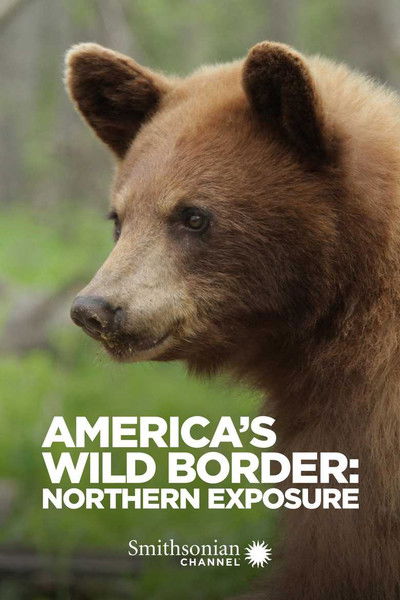 Póster de America's Wild Borders