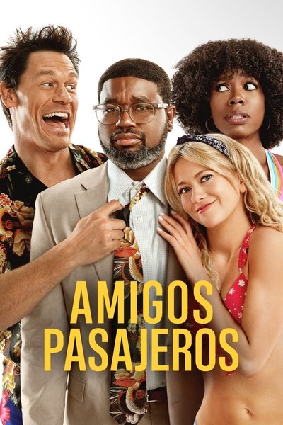 Póster de Amigos de las vacaciones
