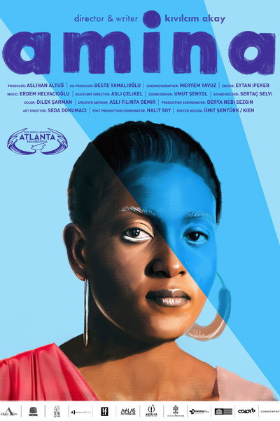 Póster de Amina