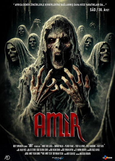 Póster de Amir