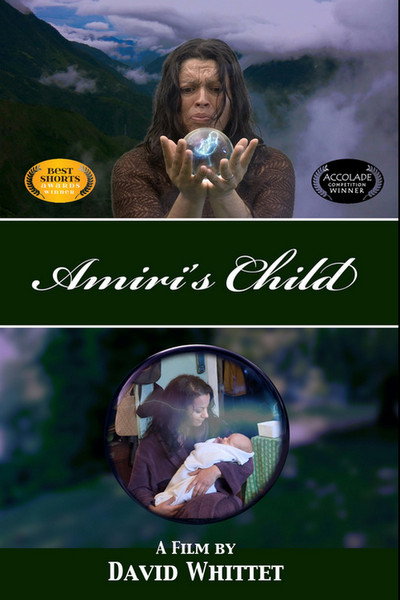 Póster de Amiri's Child