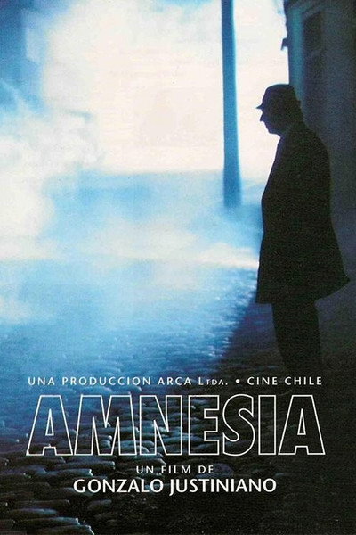 Póster de Amnesia