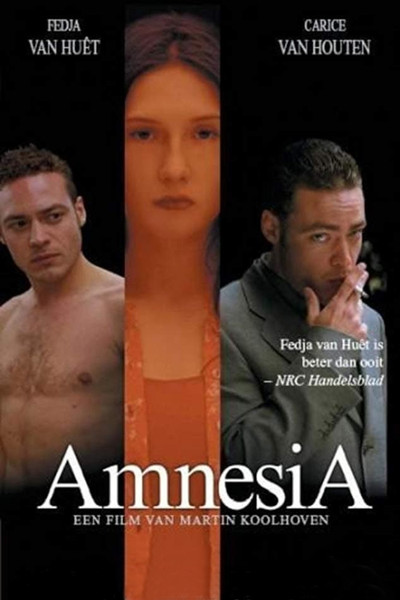 Póster de AmnesiA