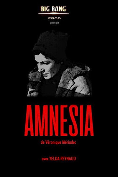 Póster de Amnesia