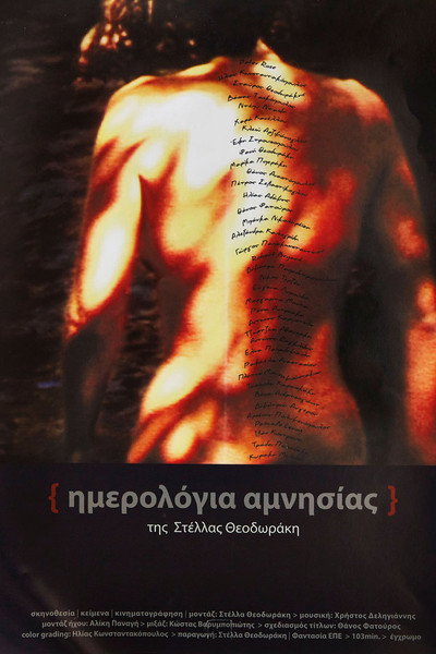 Póster de Amnesia Diaries