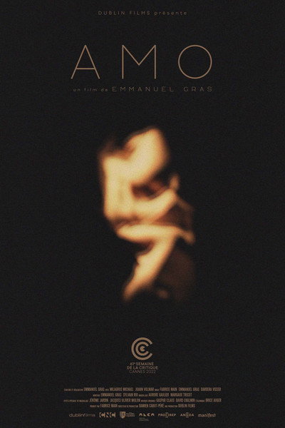 Póster de Amo