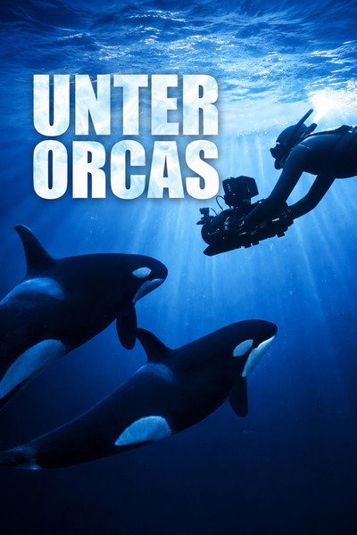 Póster de Among Orcas