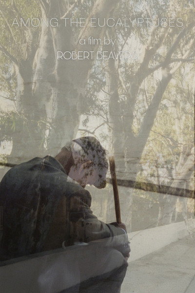 Póster de Among the Eucalyptuses