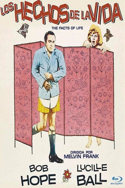 Póster de Amor es juego prohibido