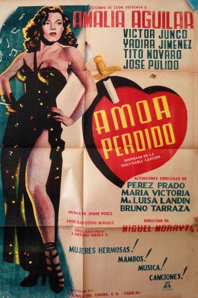 Póster de Amor perdido