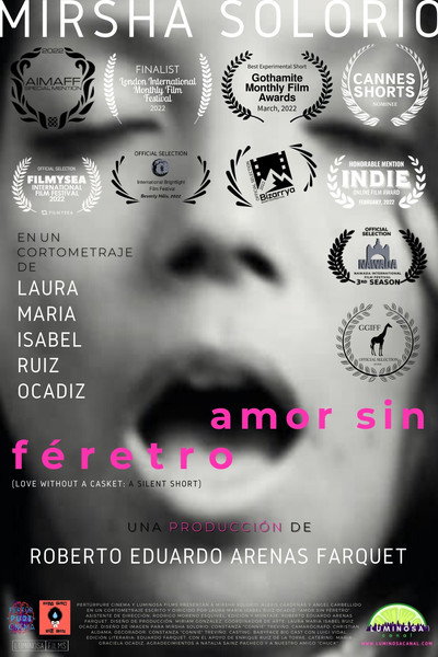 Póster de Amor sin féretro