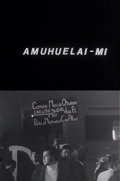 Póster de Amuhuelai-mi
