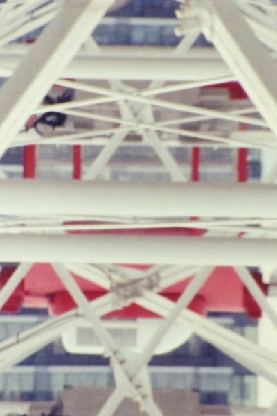 Póster de Amusement Ride