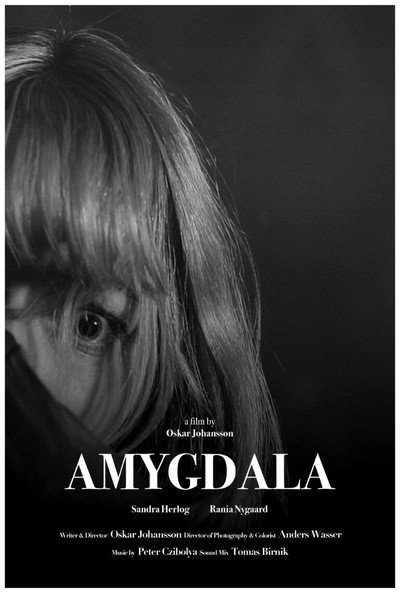 Póster de Amygdala