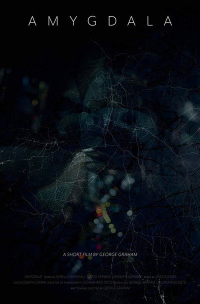 Póster de Amygdala