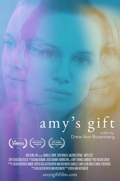 Póster de Amy's Gift