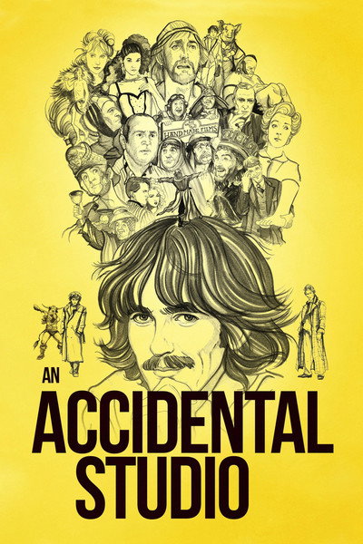 Póster de An Accidental Studio