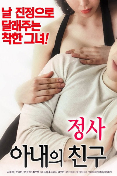 Póster de An Affair: My Wife's Friend