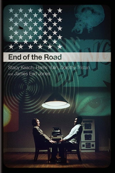 Póster de An Amazing Time: A Conversation About End of the Road