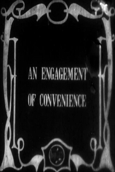 Póster de An Engagement of Convenience