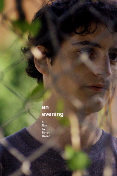 Póster de An Evening