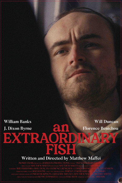 Póster de An Extraordinary Fish