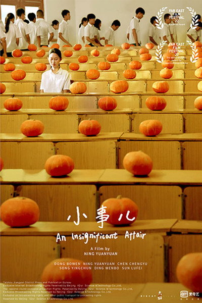 Póster de An Insignificant Affair