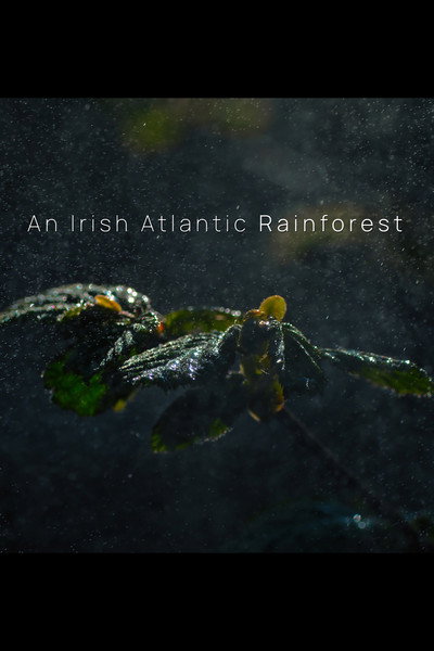 Póster de An Irish Atlantic Rainforest
