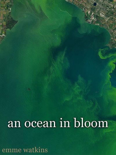 Póster de An Ocean in Bloom