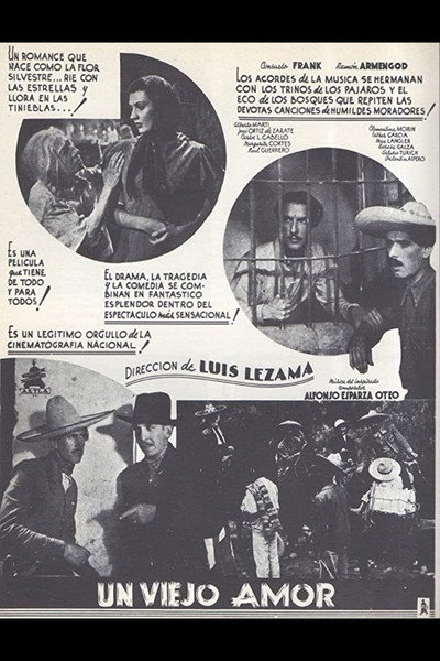 Póster de An Old Love