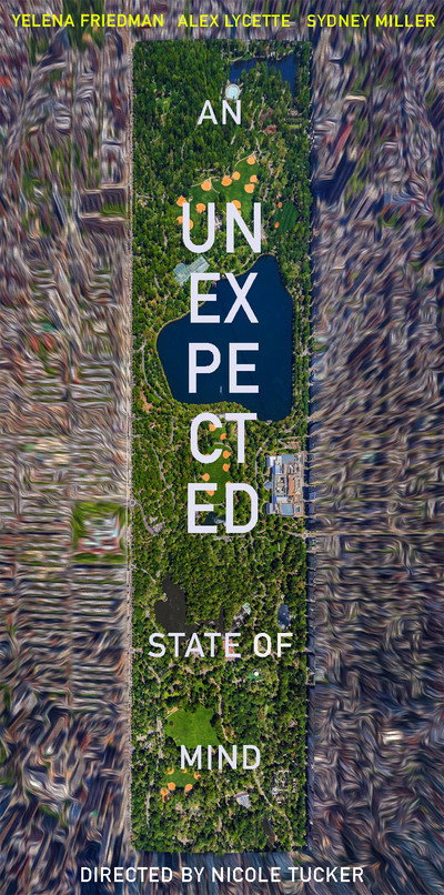 Póster de An Unexpected State of Mind