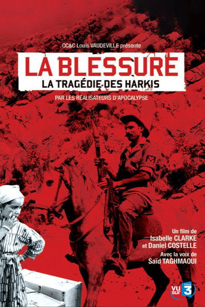 Póster de An Unhealed Wound - The Harkis in the Algerian War