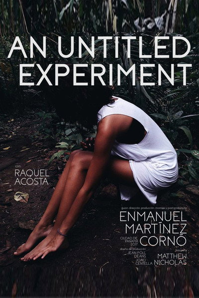 Póster de An Untitled Experiment