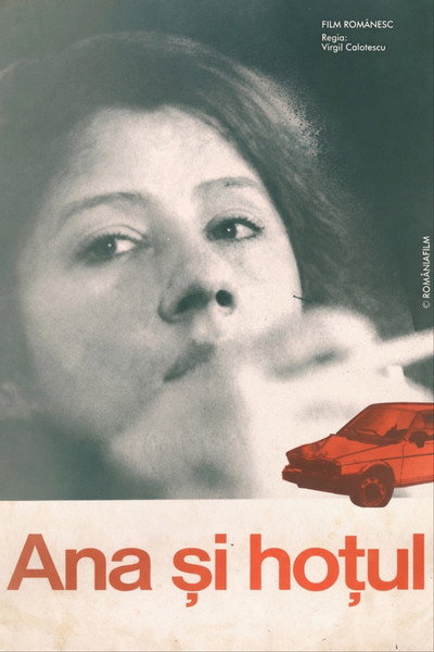 Póster de Ana si hotul