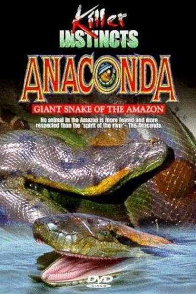 Póster de Anaconda: Giant Snake of the Amazon