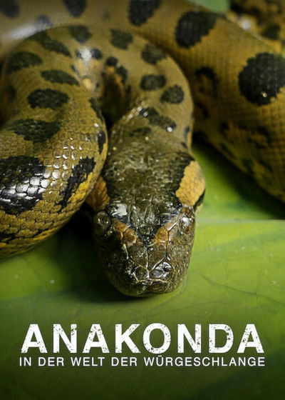Póster de Anaconda: Silent Killer
