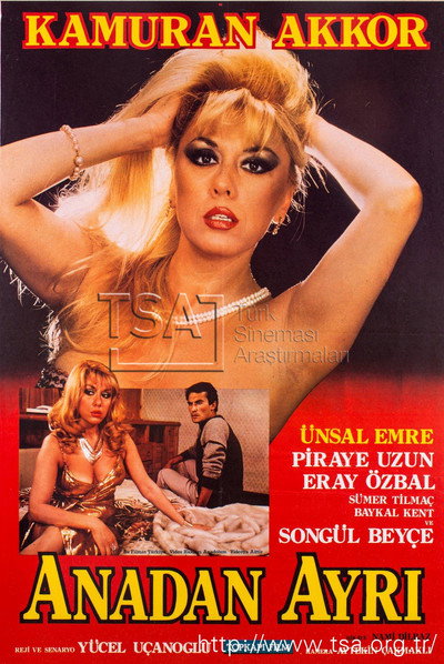 Póster de Anadan Ayri