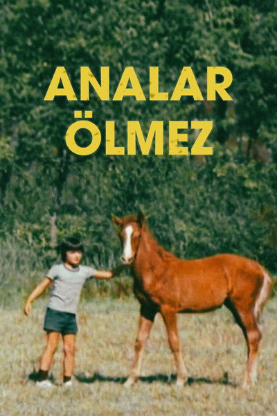 Póster de Analar Ölmez