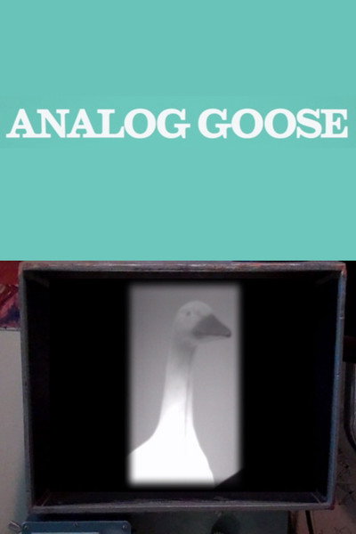 Póster de Analog Goose