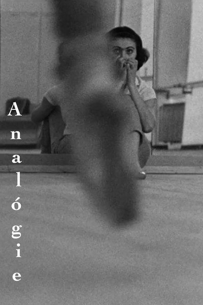 Póster de Analogy