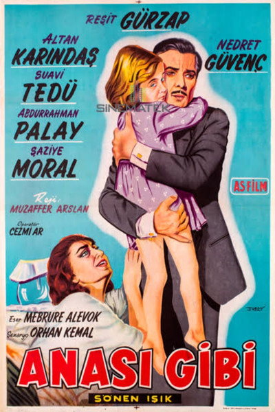 Póster de Anasi gibi
