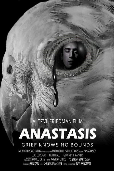 Póster de Anastasis
