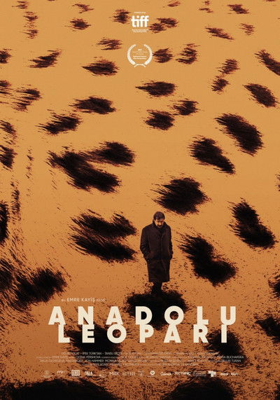 Póster de Anatolian Leopard