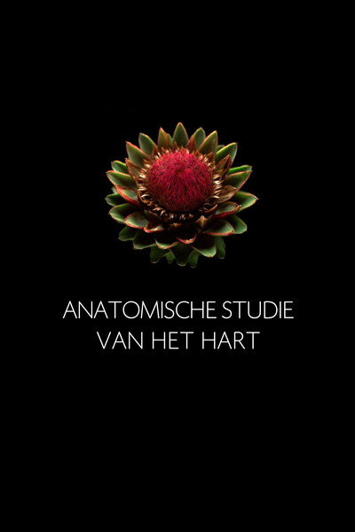 Póster de Anatomische Studie van het Hart