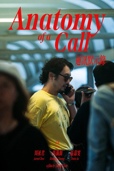 Póster de Anatomy of a Call