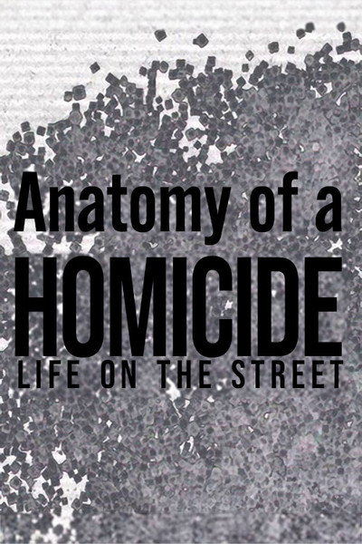 Póster de Anatomy of a 'Homicide: Life on the Street'